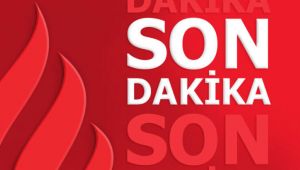 Cumhurbaşkanı Yardımcısı Oktay'dan Tel Abyad ve Rasulayn açıklaması