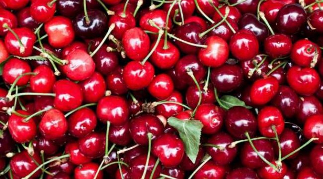 Kirazın faydaları nelerdir? Kiraz yaprağı çayı nasıl hazırlanır?
