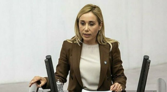 AK Parti’ye katılınca saldırılar sistematik lince dönüştü