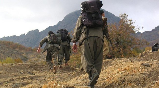 Son dakika... 1 milyon TL ödülle aranan terörist Vedat Demir örgütten kaçtı