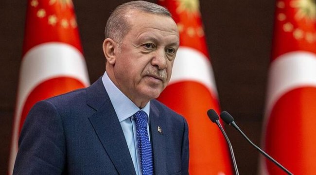 Cumhurbaşkanı Erdoğan, Litvanya Cumhurbaşkanı ile görüştü