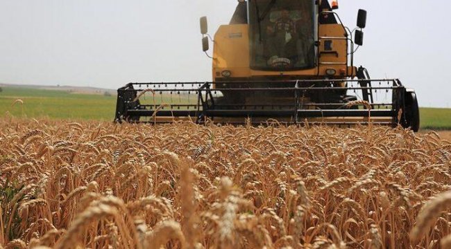 Rusya, tahıl ve şeker ihracatını yasakladı