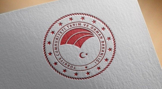 GSB temizlik işçisi kura sonuçları 2022 isim listesi... Gençlik ve Spor Bakanlığı kura çekimi başladı!
