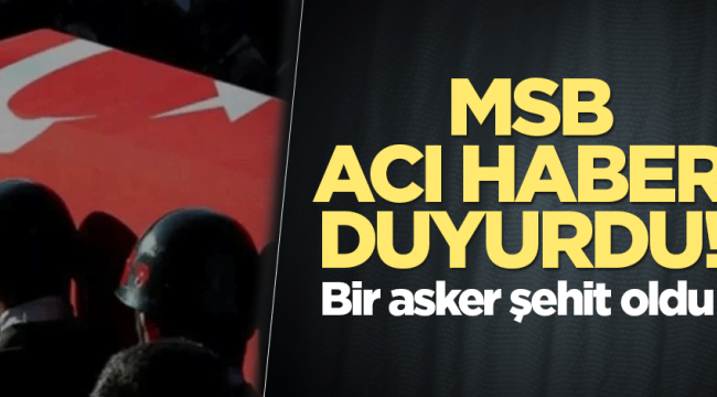 MSB acı haberi duyurdu: 1 şehit